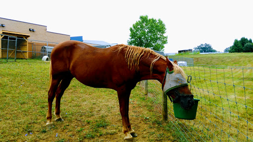 Humane Society of Warren County - Thumbnail