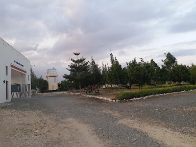 Photos of RAF University
