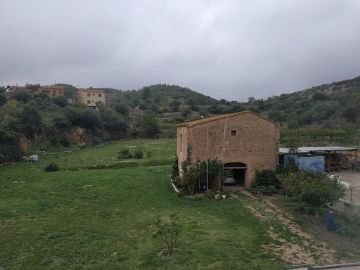 itziar ivet - Visual