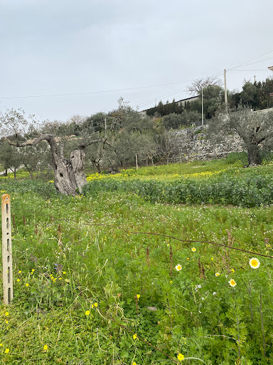 Torre Moschetta - Thumbnail