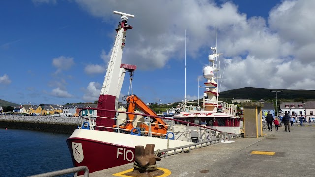 Dingle Dolphin Boat Tours