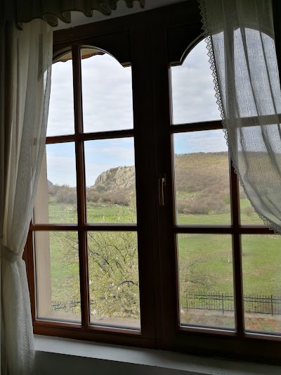 Photos of The Wild Farm
