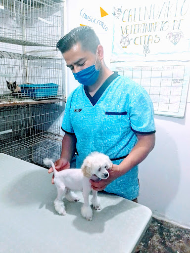 Consultorio veterinario CORBAN