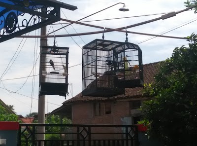 Photos of Rumah Viki
