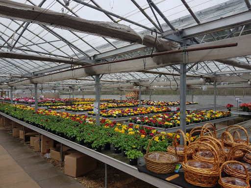 Clent Nurseries Gallery - United Kingdom