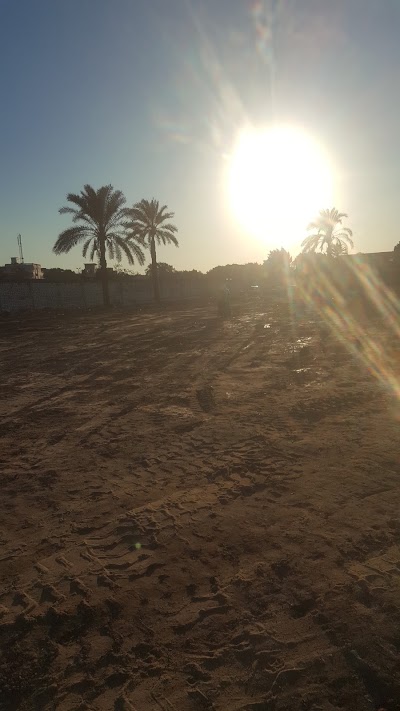 Photos of نايل براديس
