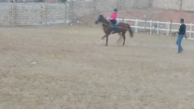 Photos of New Cairo Zoo