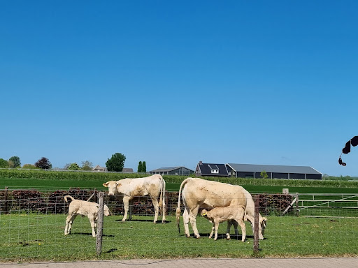 Eetvandeboer.nl | Boerderij Hoogenraad - Thumbnail
