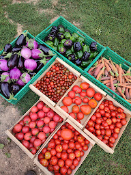 Photo n°20 de Les Légumes de César à Cussy (Épicerie)