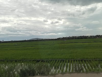 Photos of Arr&ecirc;t Bus AMBODIMITA
