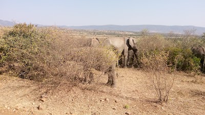 Photos of Smile To Africa Adventure & kenya safari