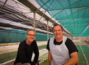 Photo n°9 de La cabane à spiruline à Chaumes-en-Retz (Ferme d'aquaculture)
