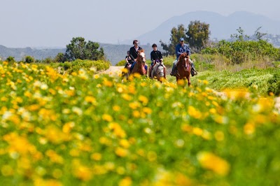 San Diego Beach Rides, Horse Rentals & Wagon Rides