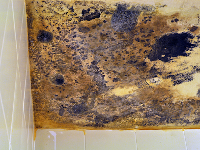 Dr Dry water and fire Restoration photo