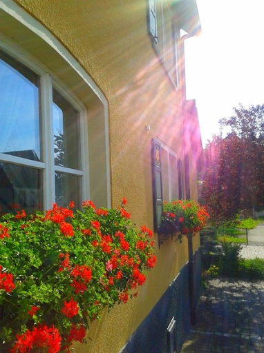 Gasthof Goldene Rose - Thumbnail