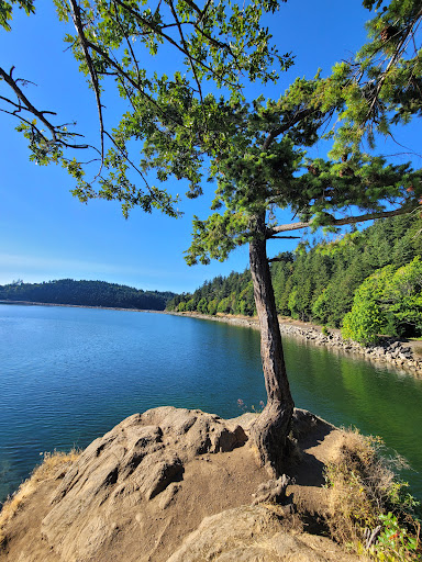 Teddy Bear Cove - Thumbnail