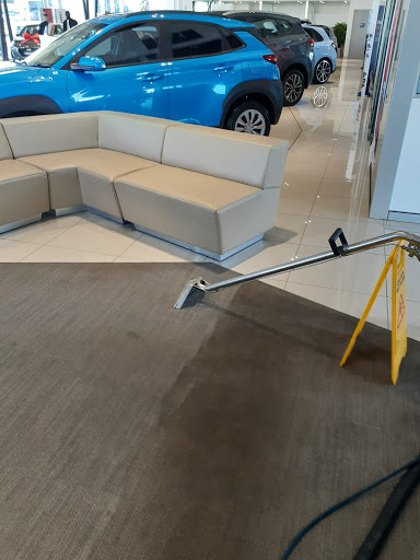 Always Fresh Carpet