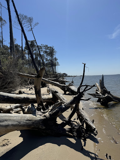 Etheridge Point - Thumbnail