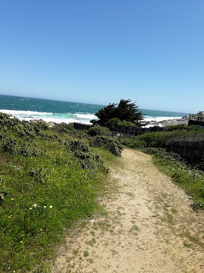 Photos of Punta De Tralca