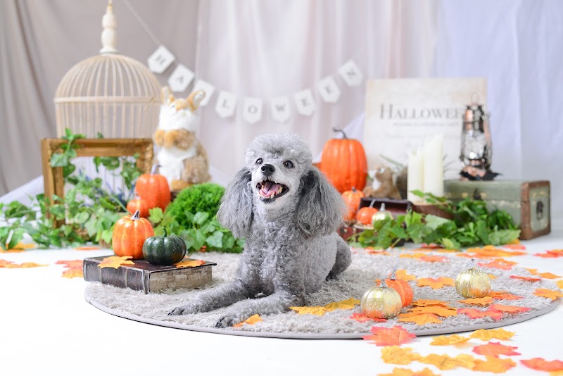 武蔵野創寫舘 東川口店