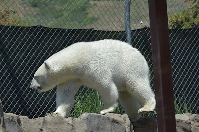 Asian Highlands at Hogle Zoo