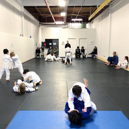 Mizu Studio Jiu-Jitsu, Muay Thai, Wrestling.