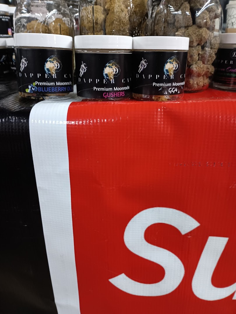 Dapper Canna photo 5