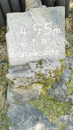 Brommelsäche - Visual