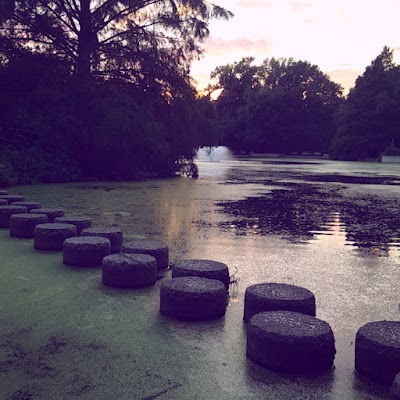 Photos of Antioch Park