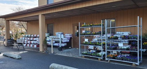 Sun Nurseries - Visual