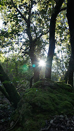 Photo n°9 de Domaine De Nabes à Mourèze (Gîte)