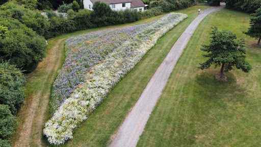 site_photo1