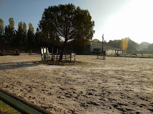 Photo n°9 de centre equestre de Chailly-en-Bière à Chailly-en-Bière (Centre équestre)