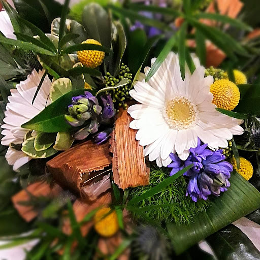 Pailhoux Fleurs - Thumbnail