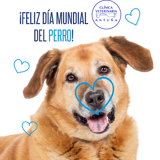 Clínica Veterinaria Antuña