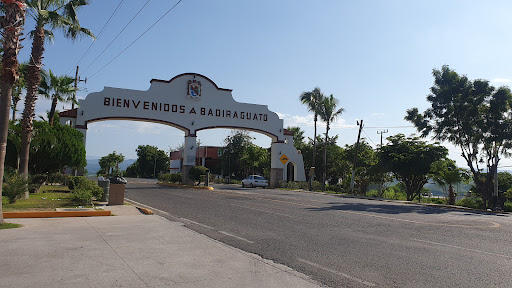 Apoma badiraguato