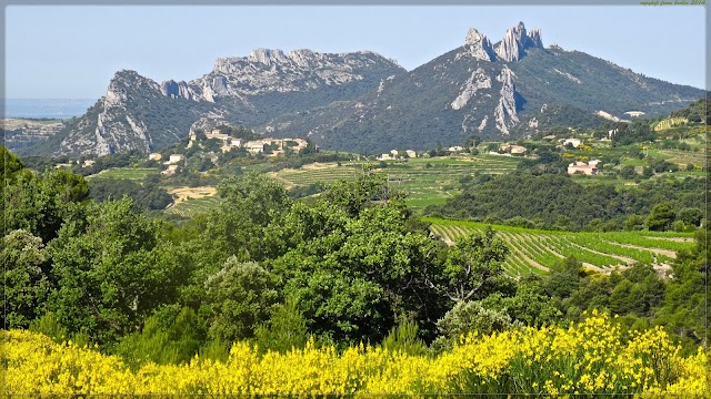 Dentelles de Montmirail