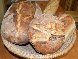 Photo n°6 de La Ferme Du Forest Gaec à Montbrand (Magasin de bois de chauffage)
