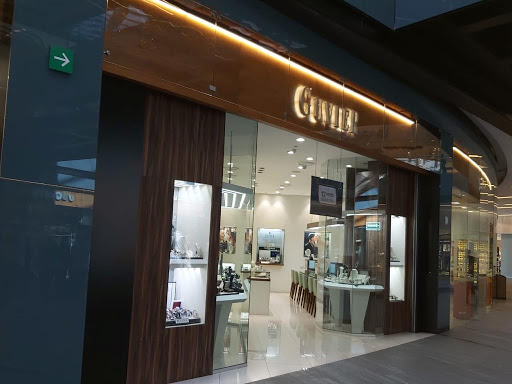 Guvier - Visual