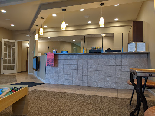 Schmidt Pediatric Dentistry
