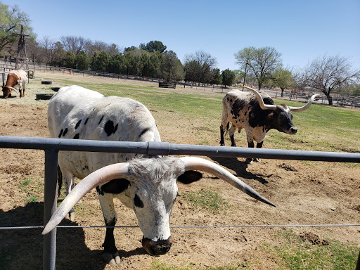 Spring River Zoo - Visual