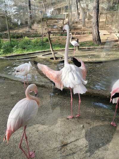 Antalya Zoo