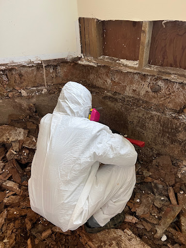 Kauai Mold Removal Gallery - United States
