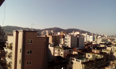 Photos of 아쿠아수족관