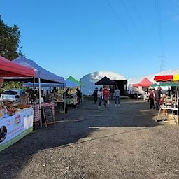 Photo n°9 de Le Poulailler Bio Majolan - Producteur d'œufs Bio à Le Taillan-Médoc (Magasin bio)