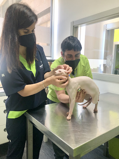 Clínica Veterinaria Animálitas