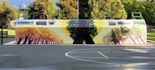Bard Park - Visual