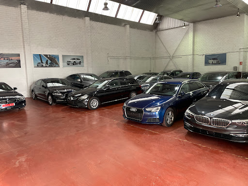 EXECUTIVE MOTOR - Visual