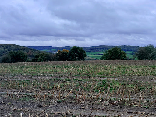 Martelberg - Visual