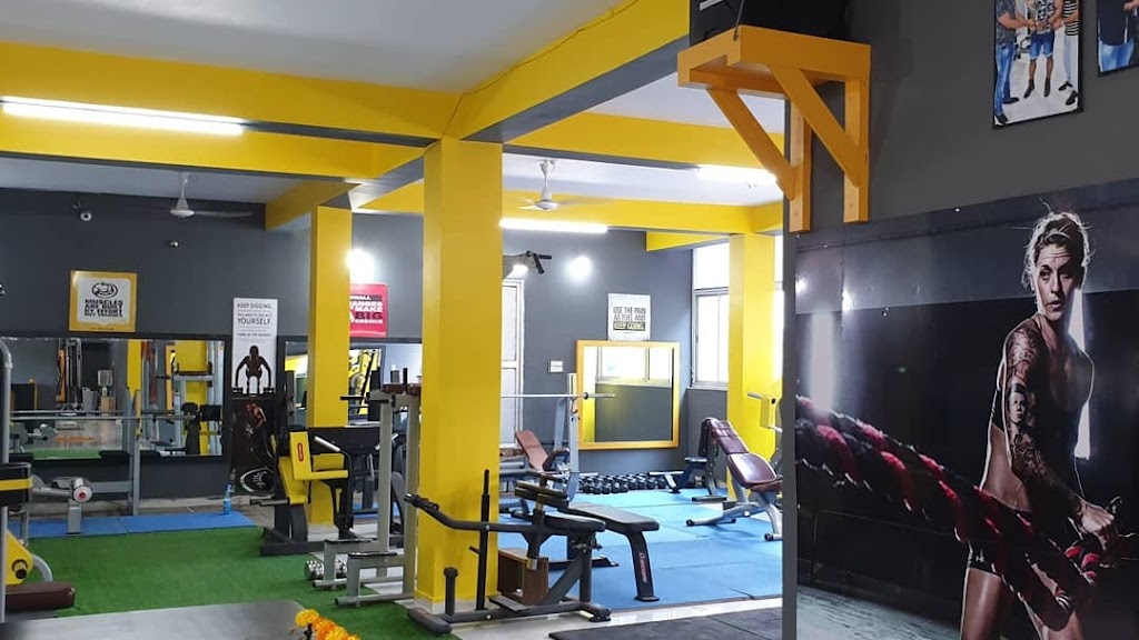 Shape Up The Unisex Gym